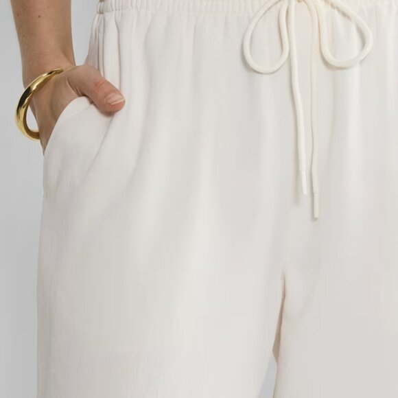 NWT Aritzia WILFRED Thesis Pant Light Birch M - Picture 5 of 9